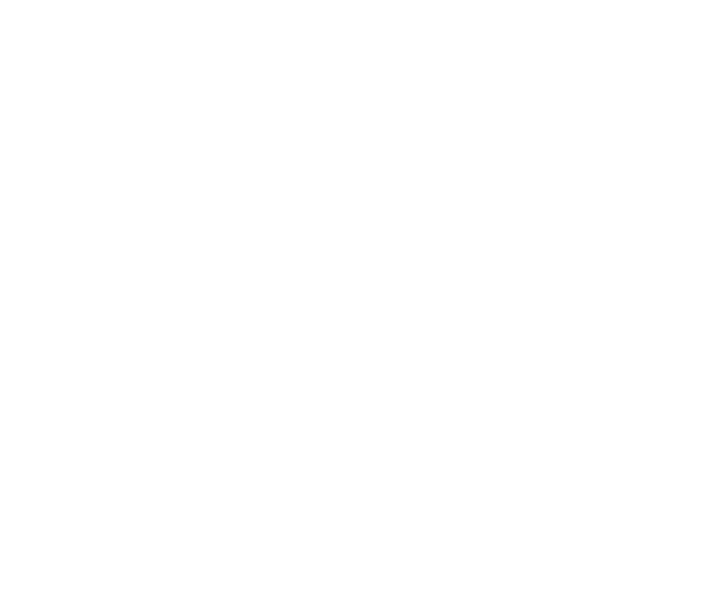 Delsol Logo
